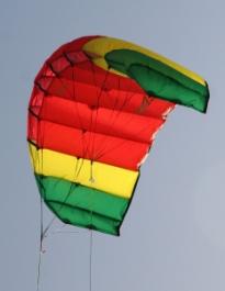 Flexifoil Buzz Rasta Kite