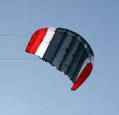 Flexifoil Buzz Petrol Kite