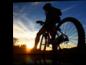 Mountain Bikes (please call)