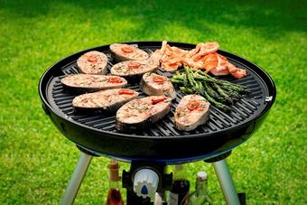 c0ba4d7d61_retrailer-cadac-carri-chef-2---bbq-rooster-1--5.jpg